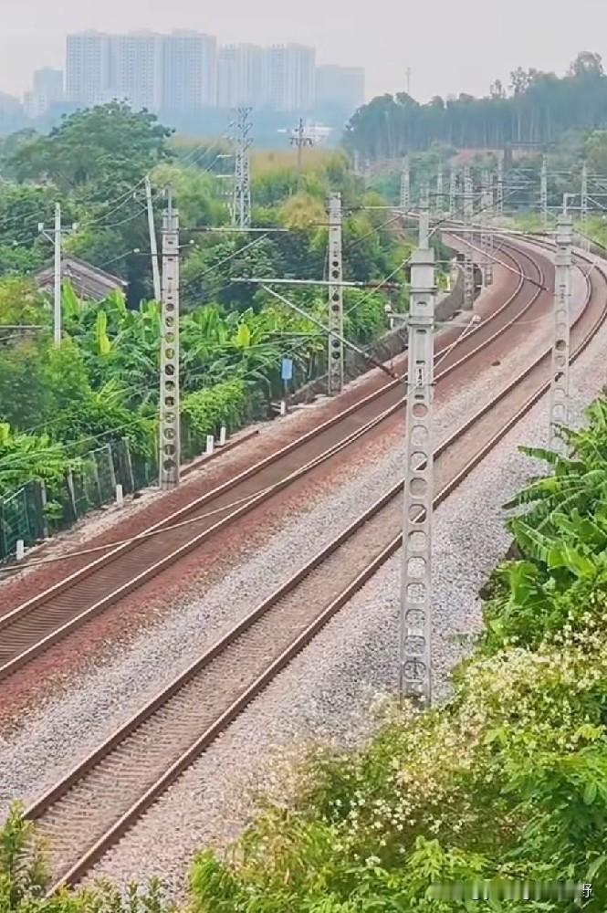 广东粤西地区的一条重要的铁路干线——黎湛铁路。在过去很长的时间里，这条铁路甚至一