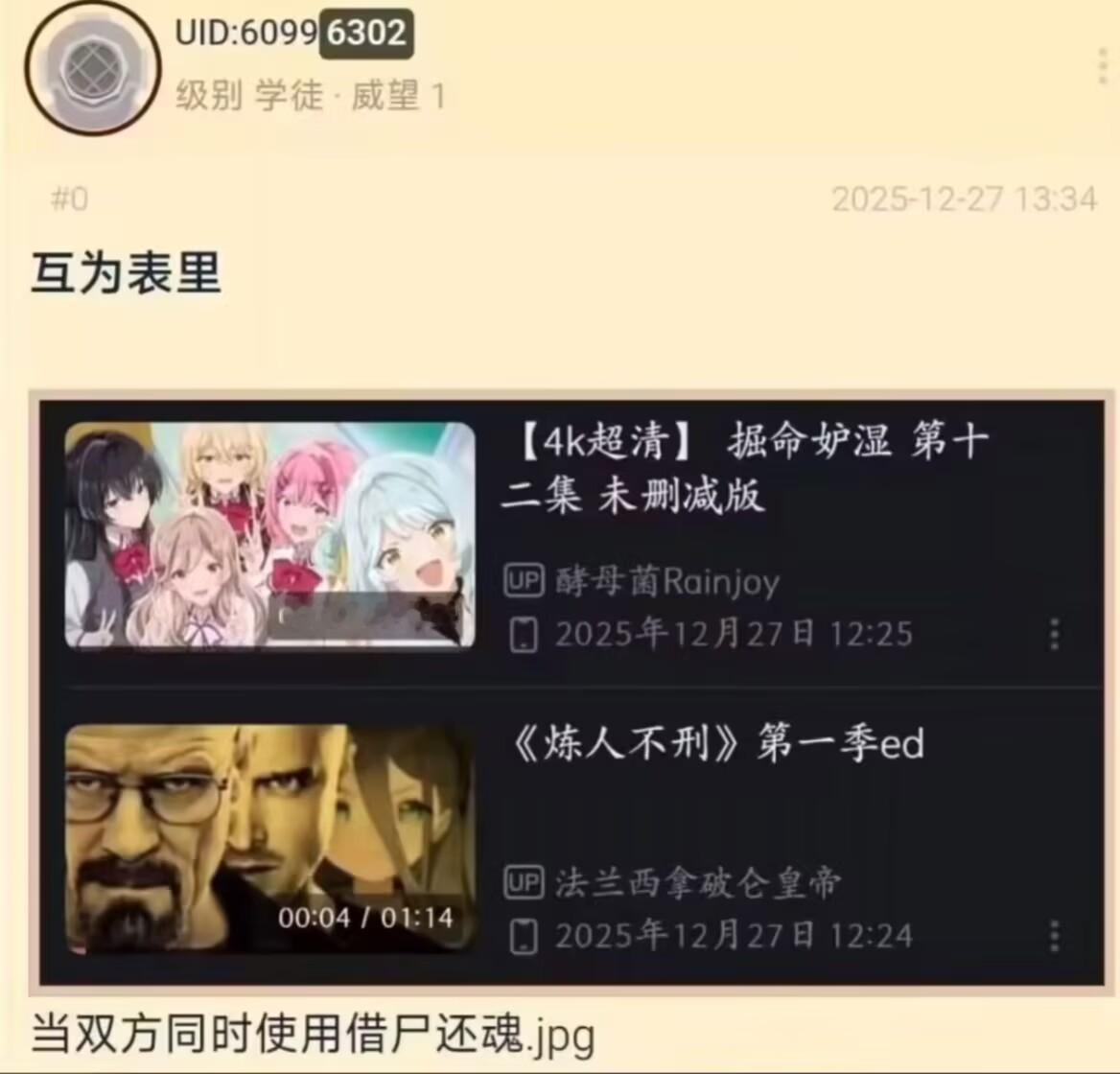 彼岸双生这一块 
