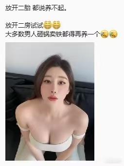 语文高手在民间：放开二胎没人生，放开二房砸锅卖钱都要养，这也太搞笑了