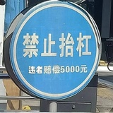 柿香读读娱乐