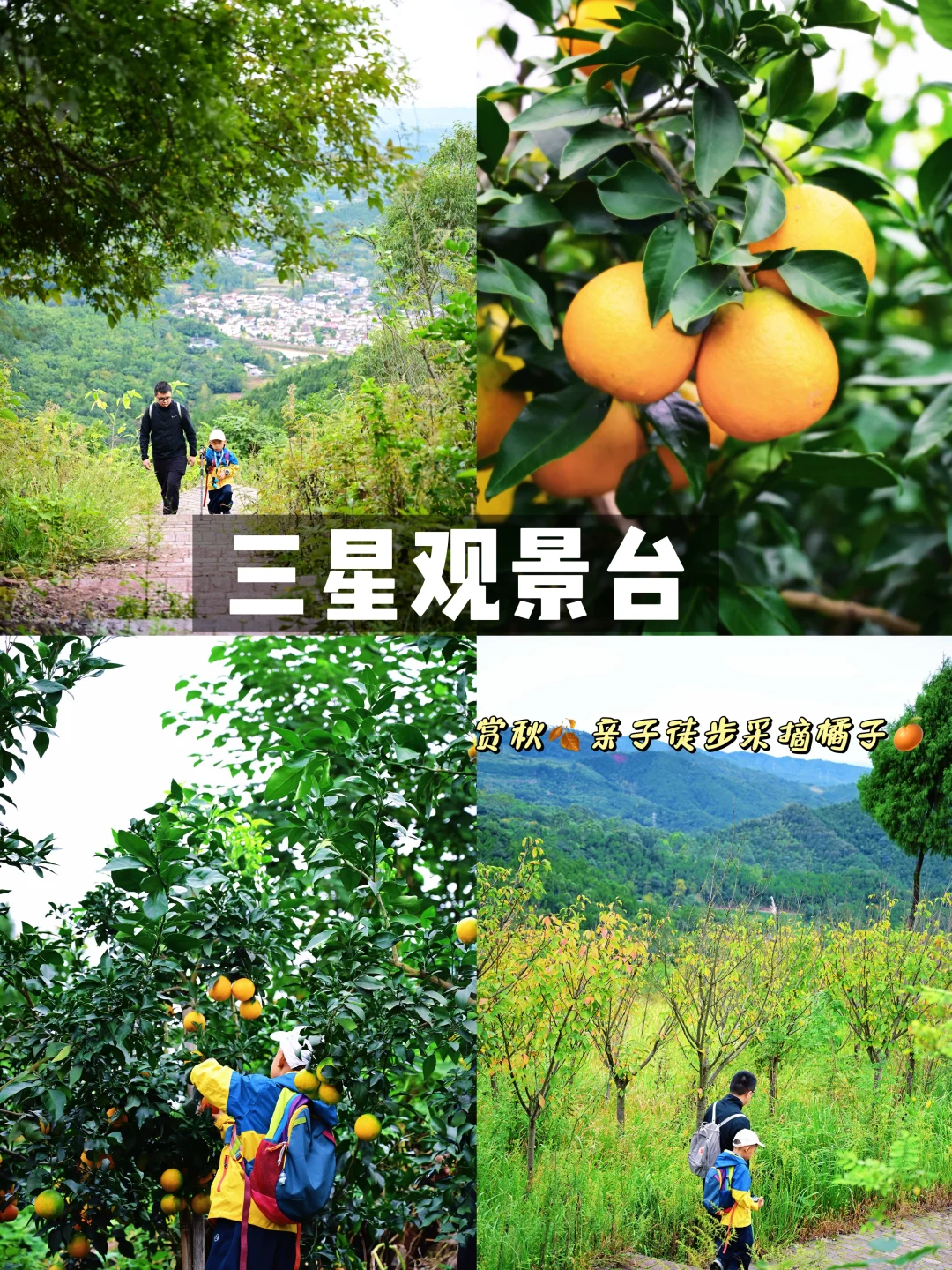 值得二刷‼️40min直达油画感秋日徒步线🍂