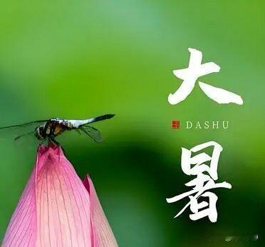 🌼²⁰²⁶/₀₇.₂₂ᵕ̈ᵕ̈大暑｜清凉相伴☀️🍃🍒🍑🪷
大暑.清怀