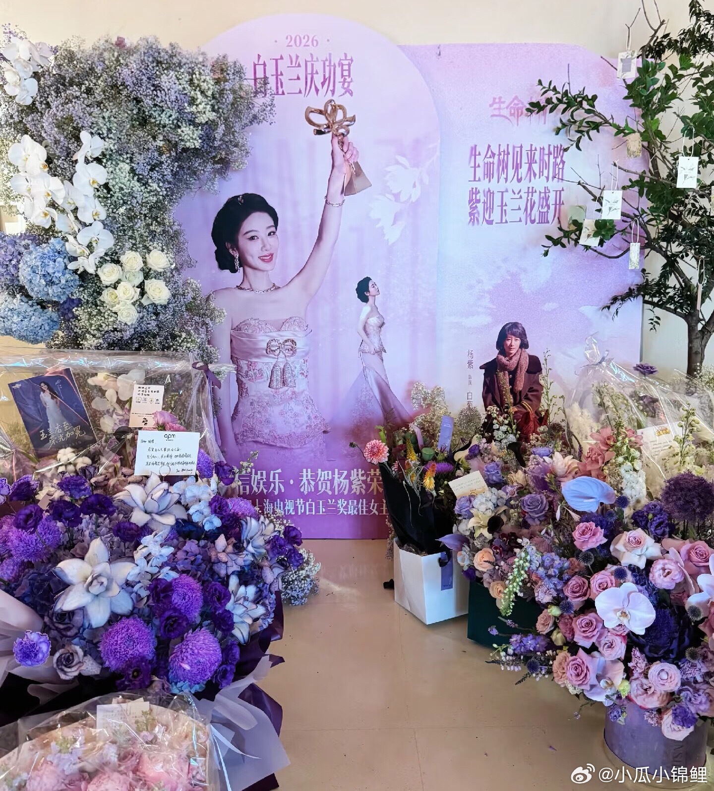 杨紫庆功宴花篮排面杨紫玉兰花开休息完早点进组 