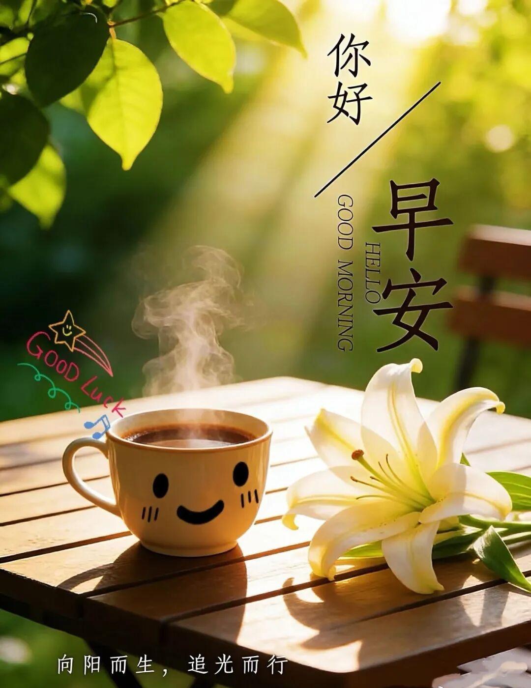 人生最好的开始就是当下，心怀热望，奔赴山海，迈好自己的步，努力把今天过好。早安柒