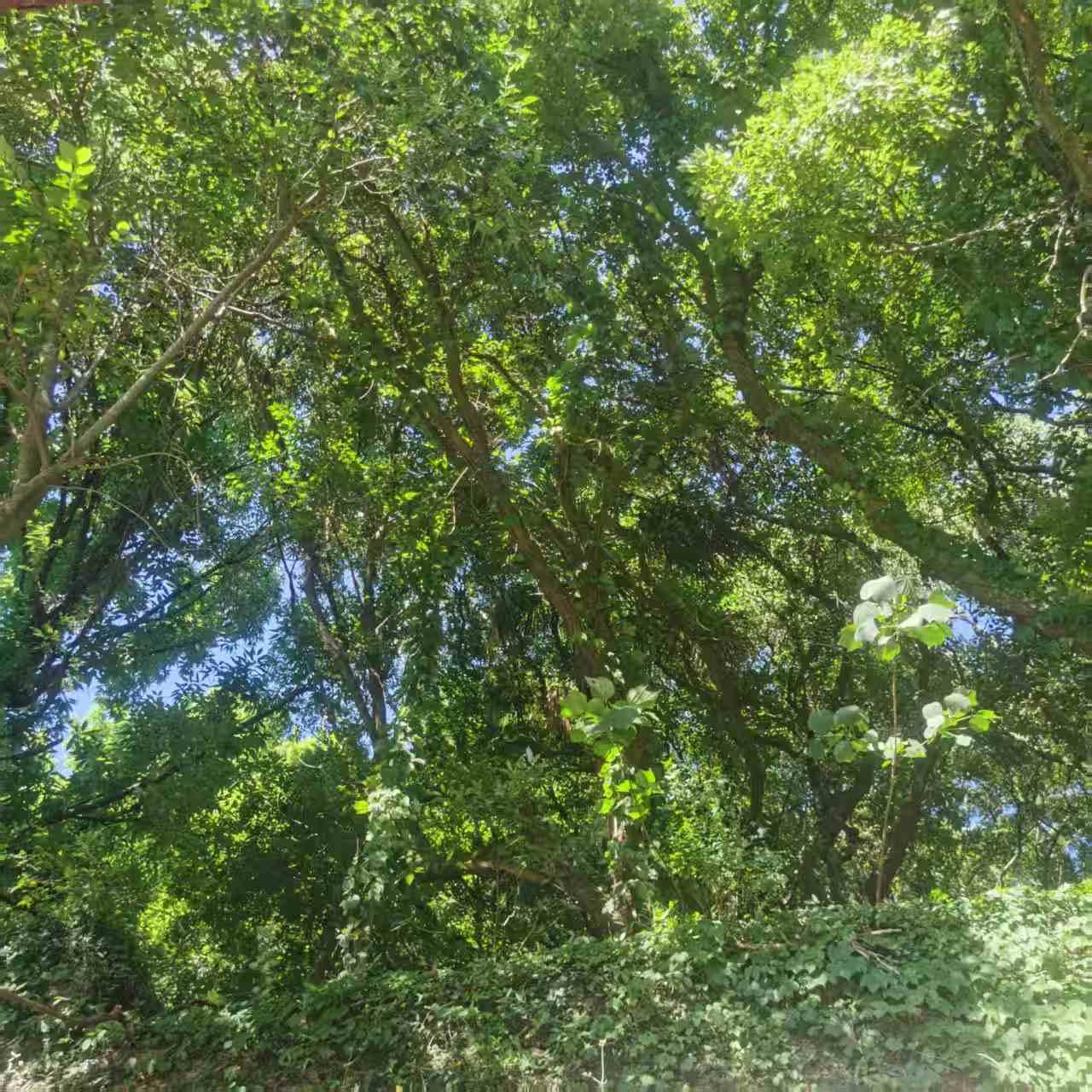 不要以为自己会吃亏。

那天，所有同事都说有事请了假，只余我与领导两人一起下乡。