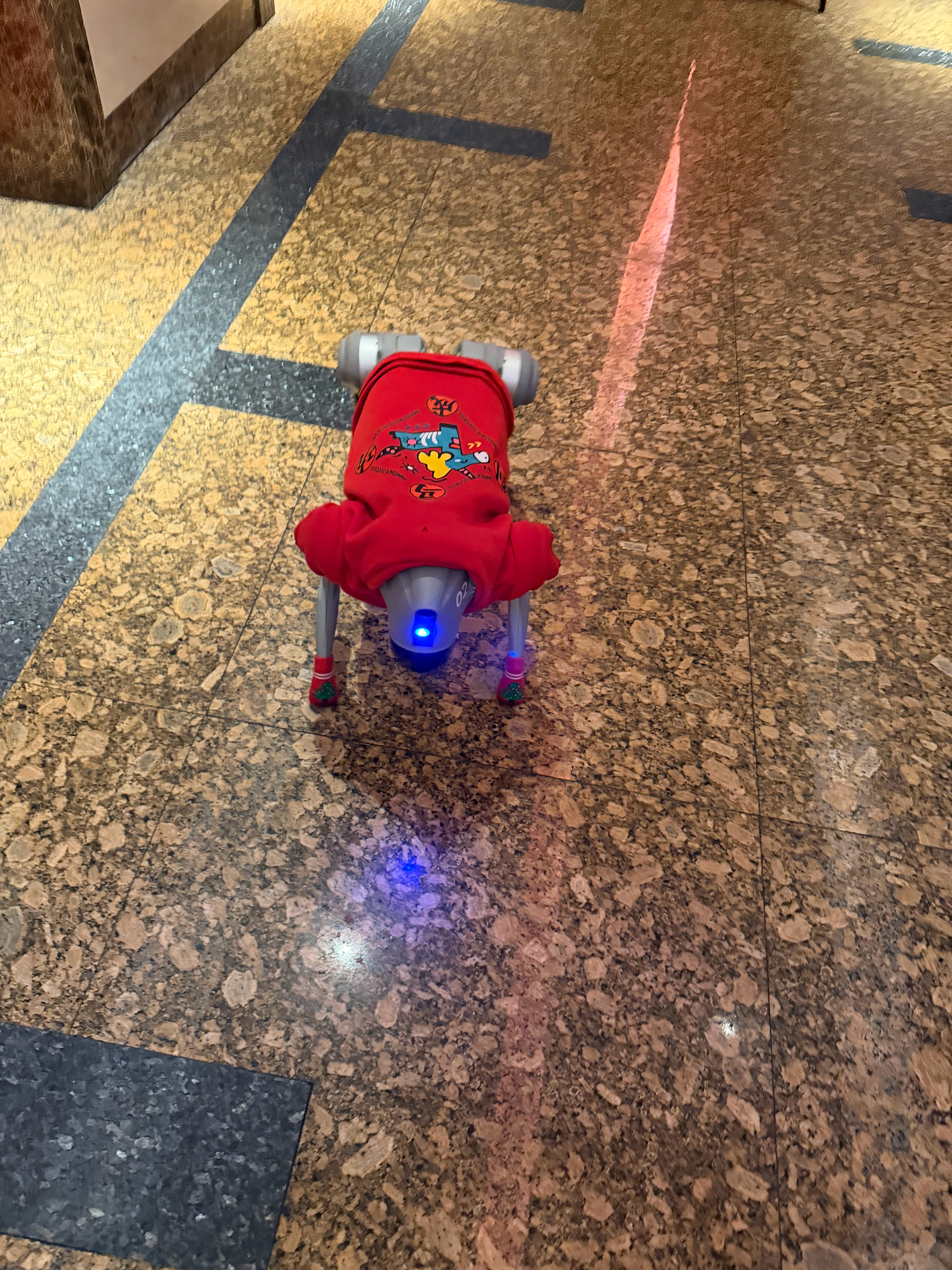 现在很多饭店也开始引入机器狗了，一开始是为了博眼球，过段时间可能就能做做引导员了