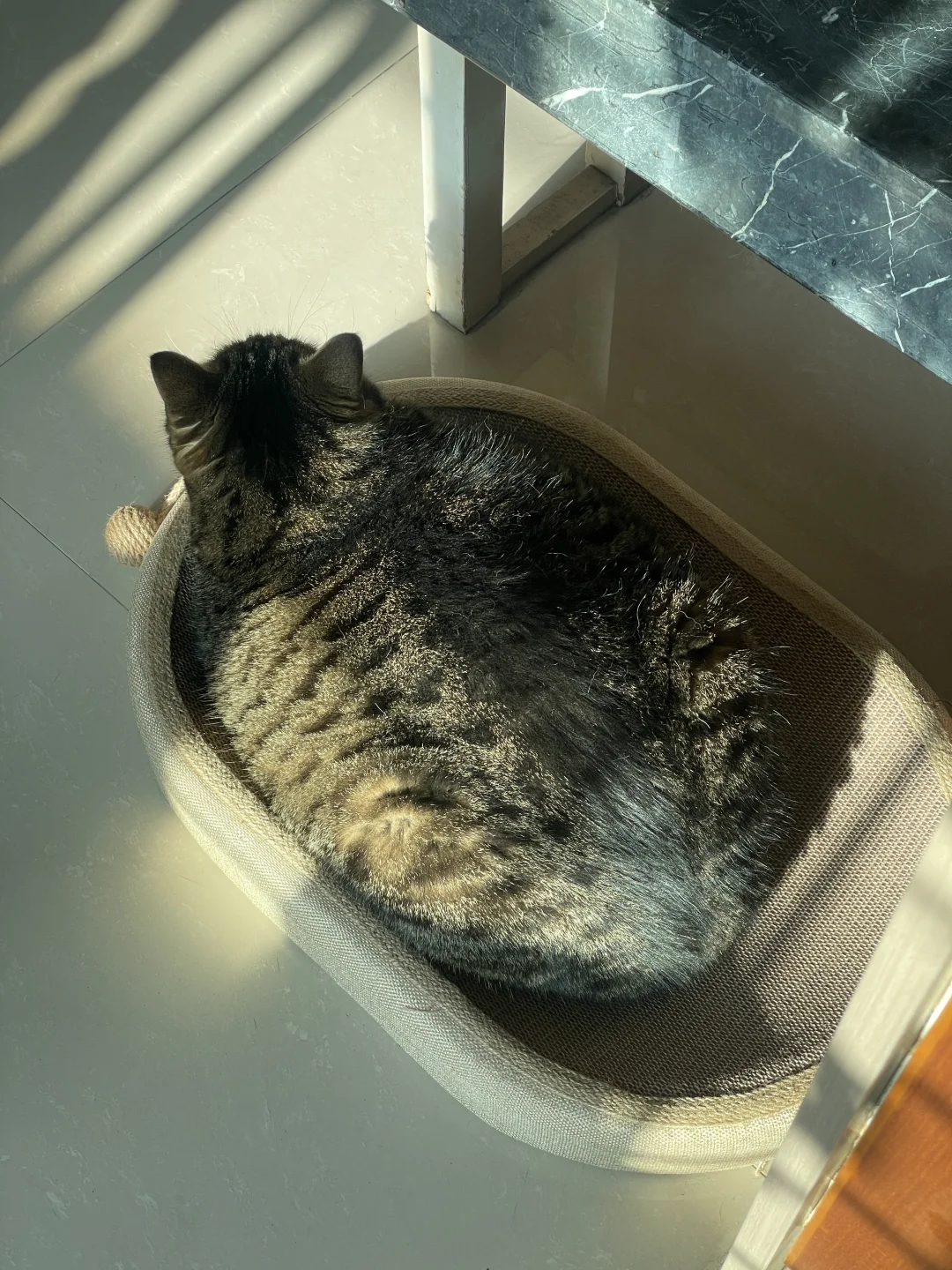 我在广东很想你