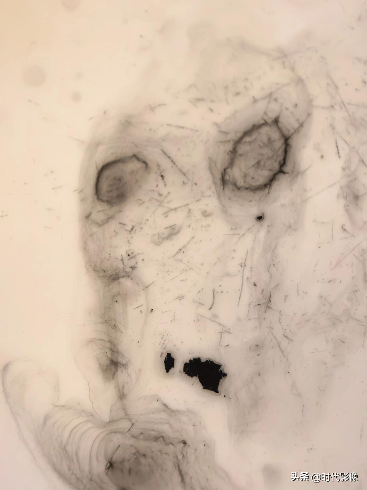 今天在我画画调颜色用的白盘子中看到这两个奇特的造型，大家看看像什么[呲牙]