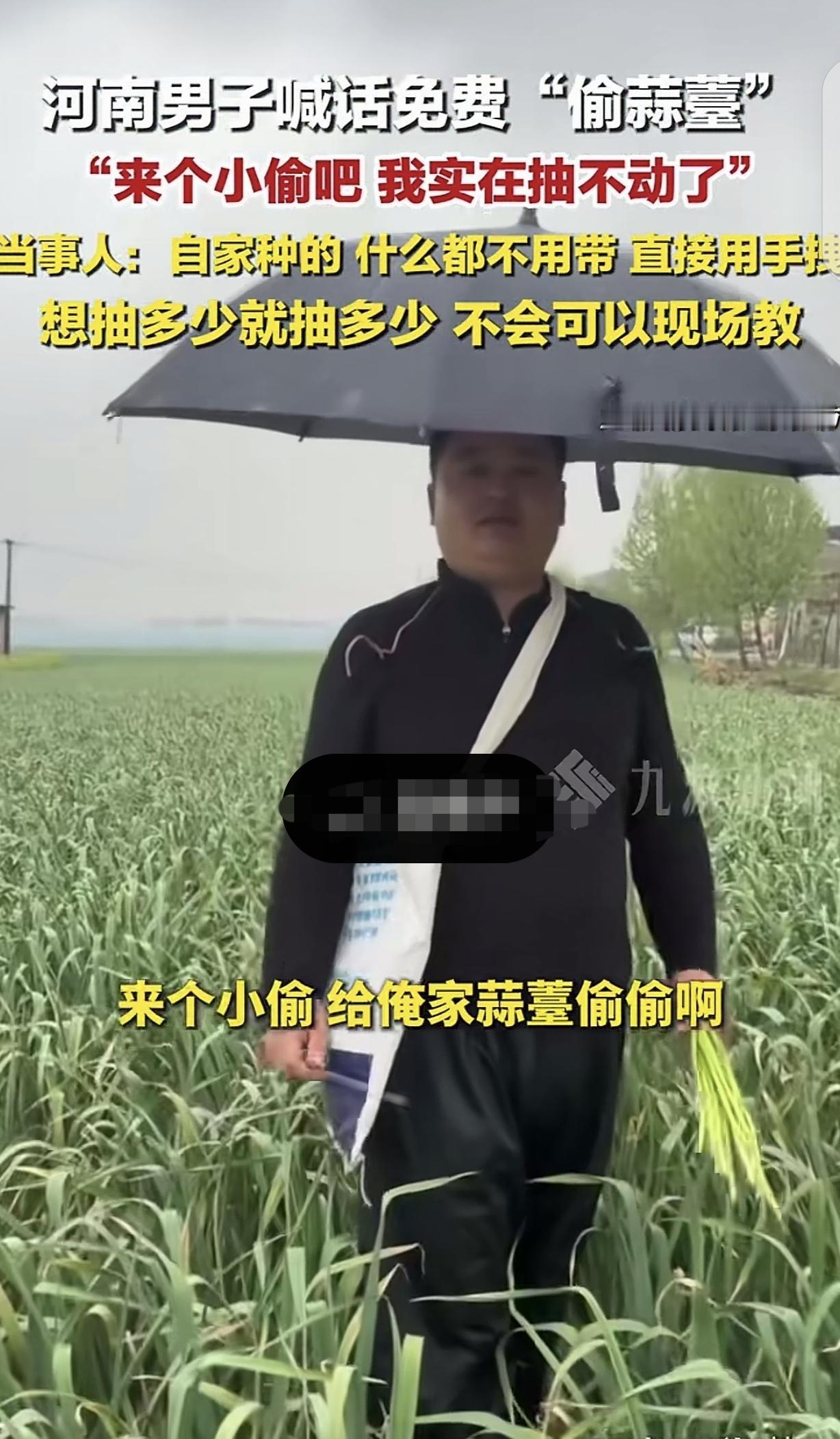 “怎么会有这么聪明的人？”河南，一男子喊话：来个小偷，给俺家蒜薹偷偷啊！男子种了