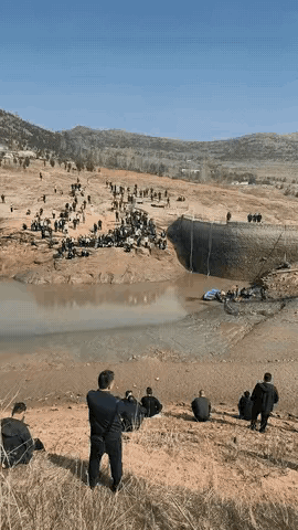 你还别说，
我觉得她们都是很群演，
但是我没有证据。