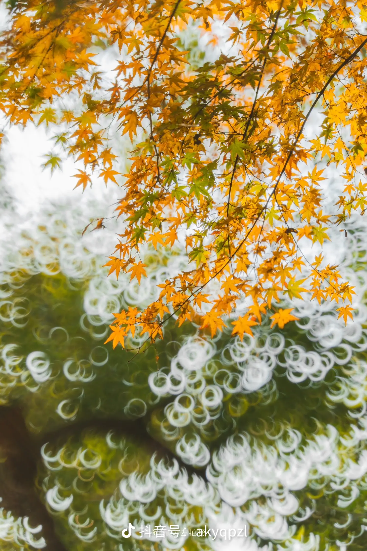 光，才是一切氛围感的源头。