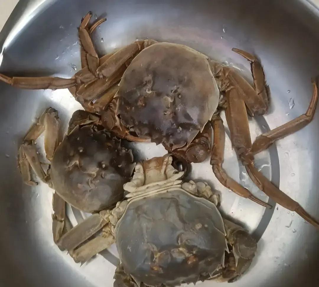 济宁李营镇大集白菜五毛一斤，市区超市标价一块五，我拎袋子来回比了三次，标签数字没