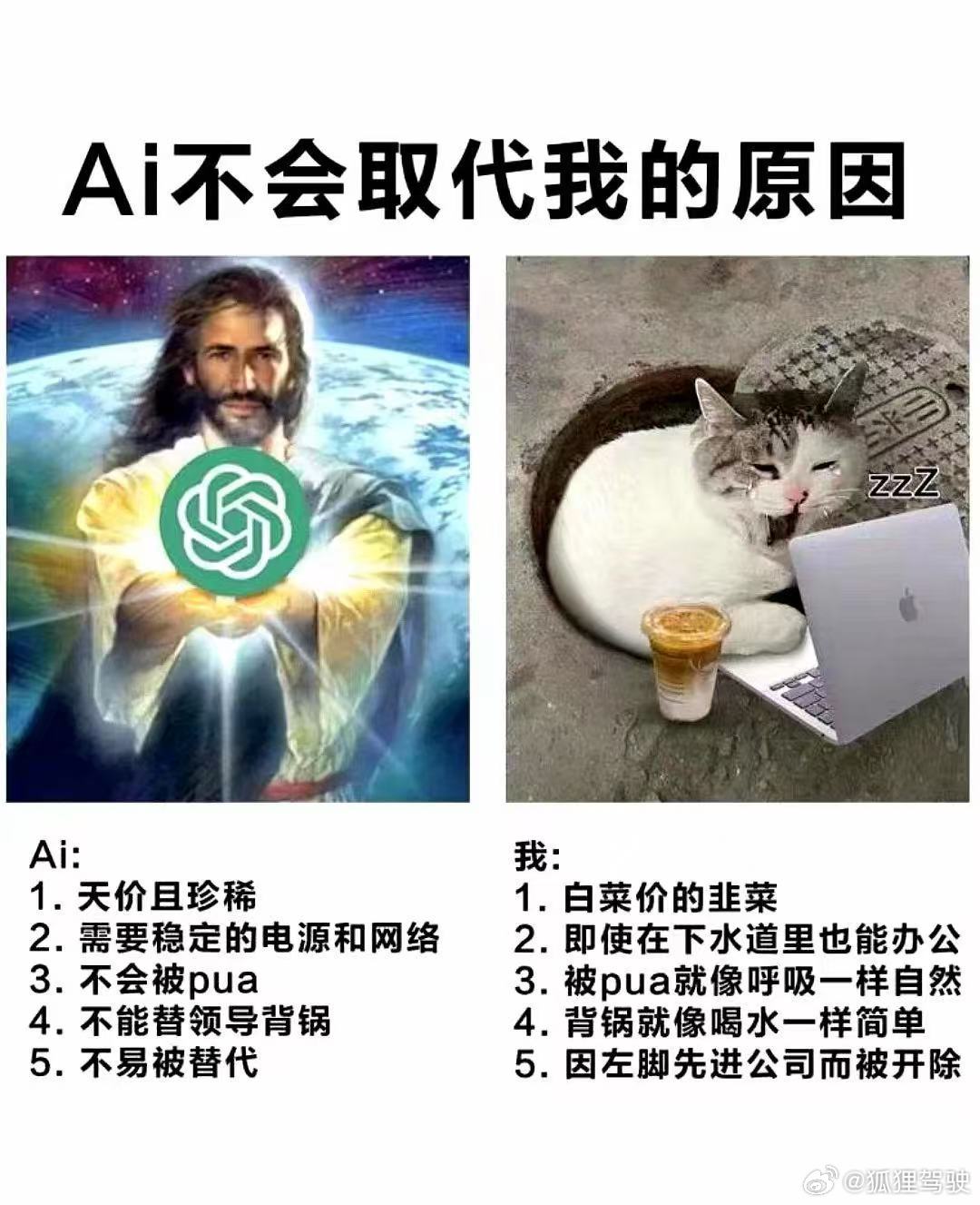 Ai不会取代我的原因 