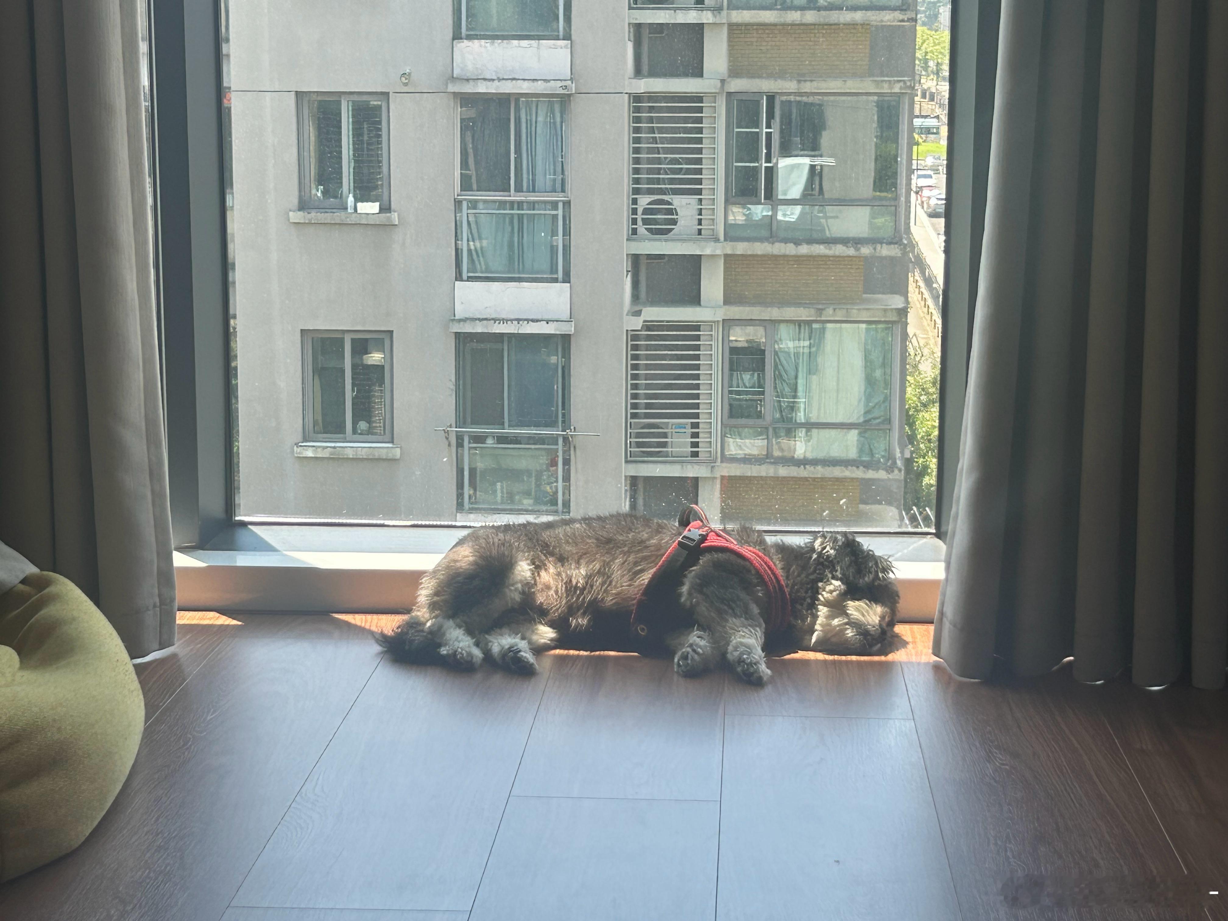 爱晒太阳小孩 