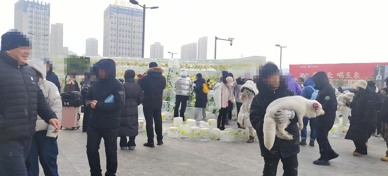 哈尔滨开始招募志愿者啦，打算招1500人，其中专业志愿者500人，通用志愿者10