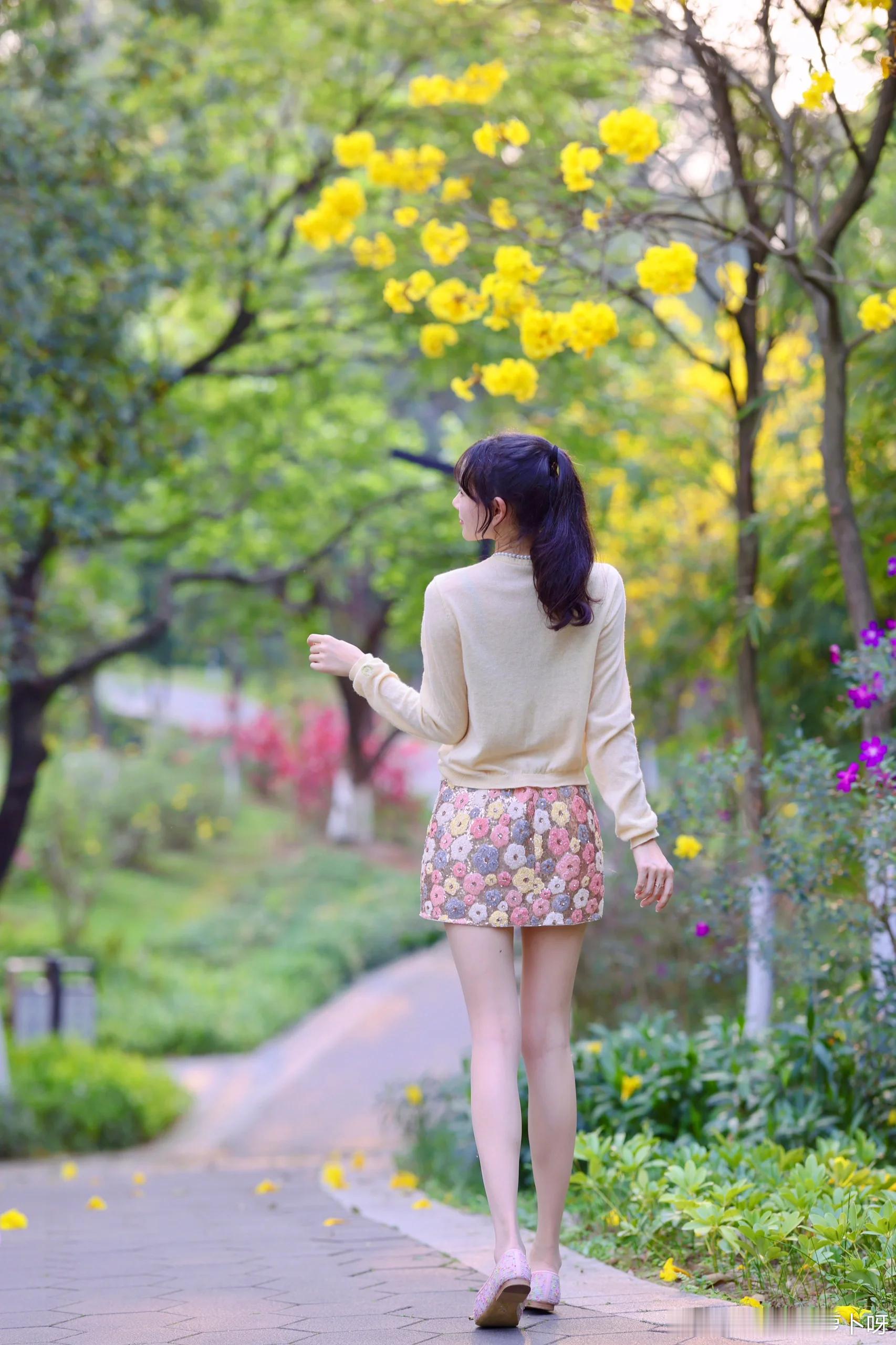春日繁花 ​​​