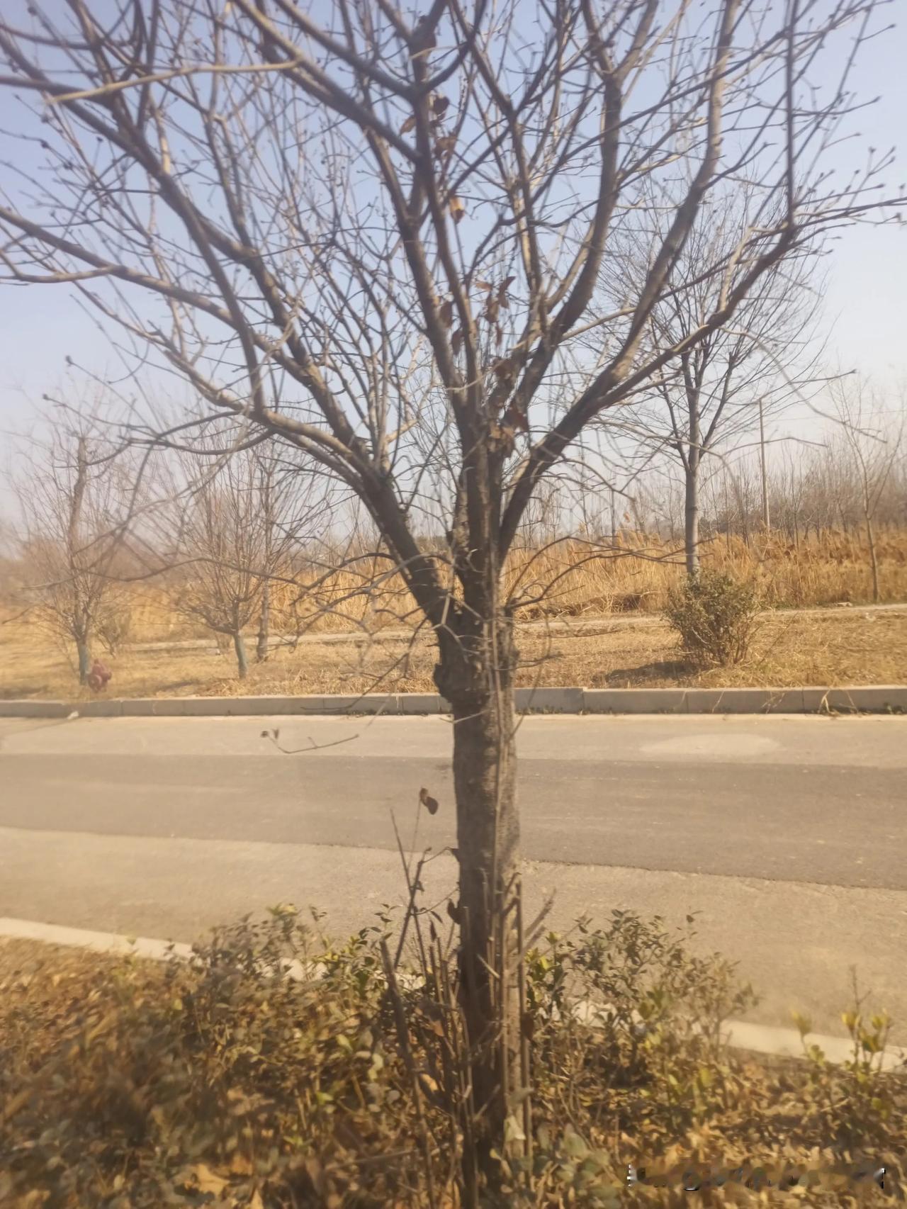 家里来一位34年没有谋面的客人，如今已经是七十古来稀的老人。当年此人是我们小时候