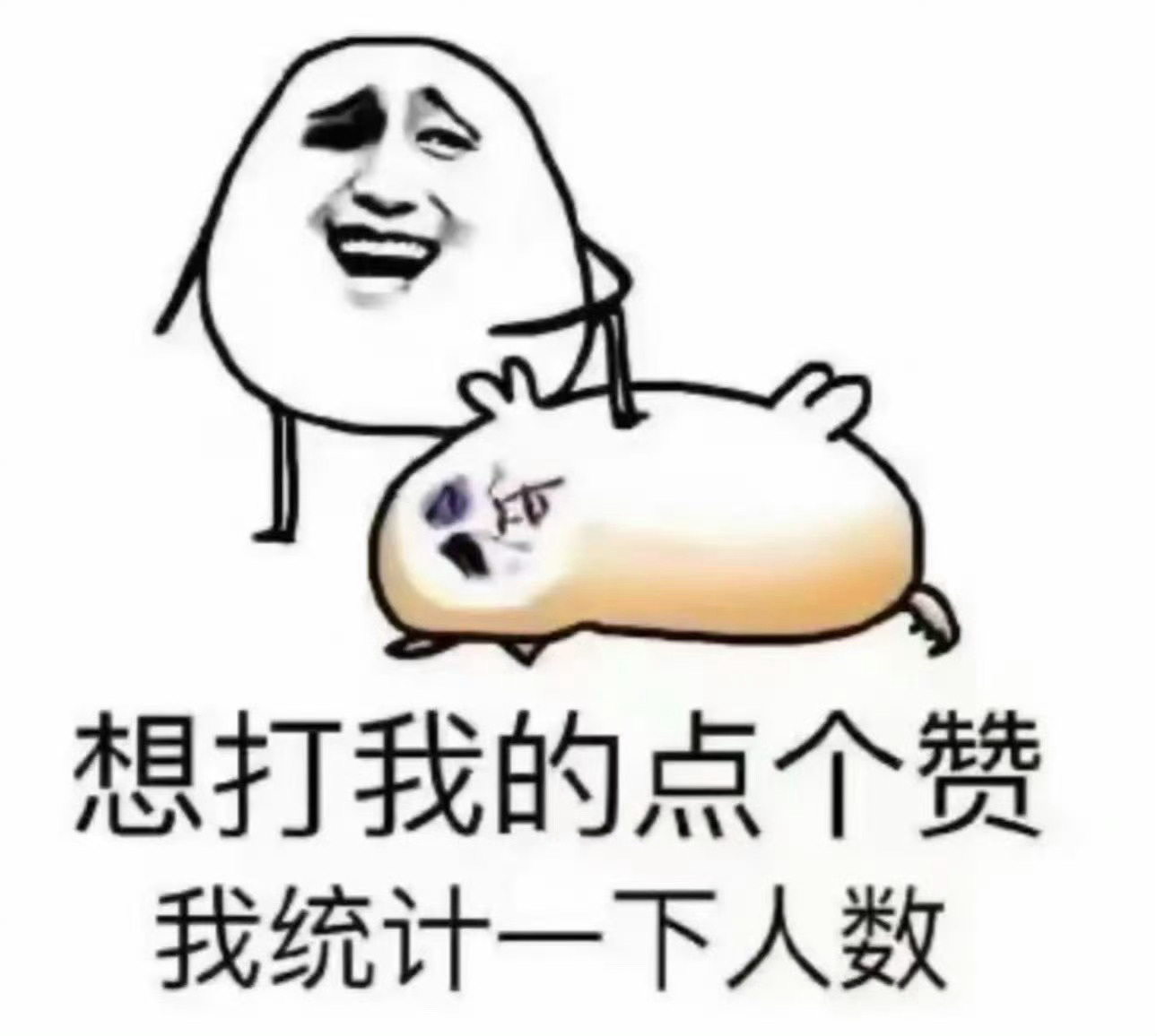 分享图片 