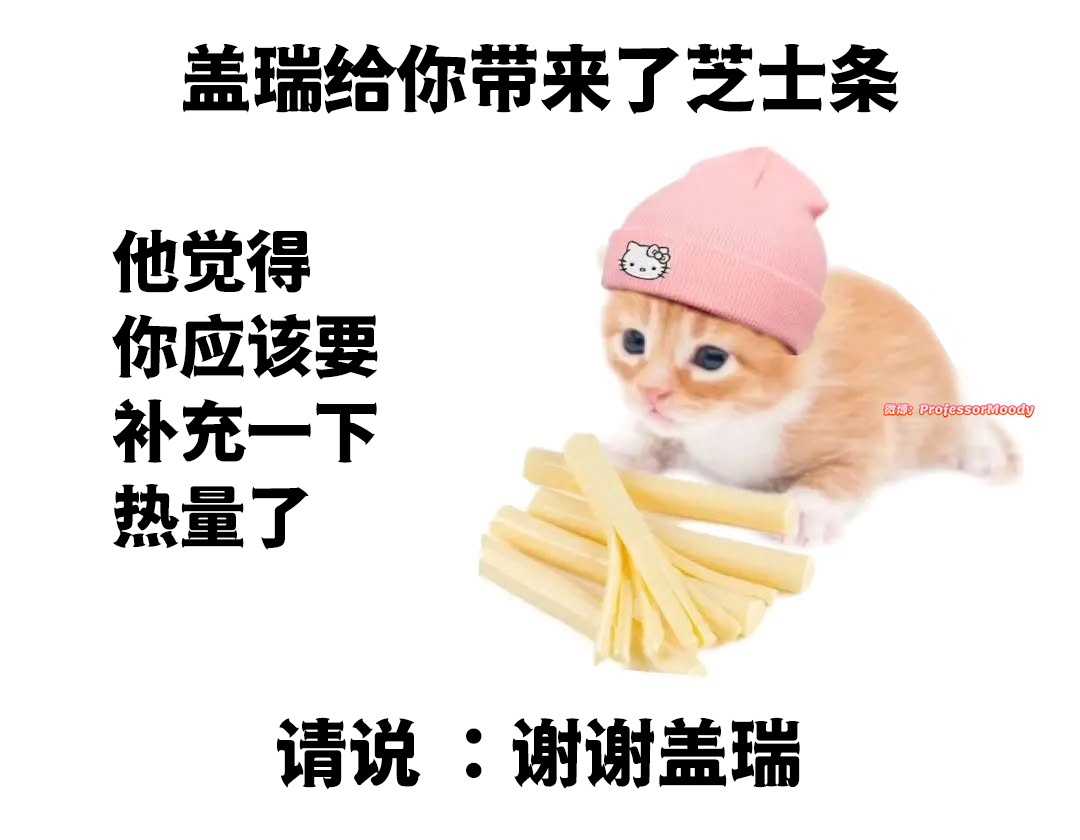 芝士香香 谢谢小盖瑞meme ​​​