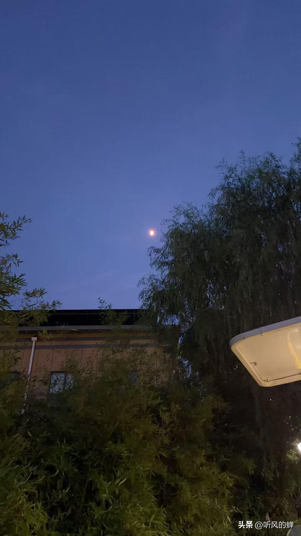 朋友女儿高考651分，山东位次排名大概是第4705名，记不太清了，总体来说是个很