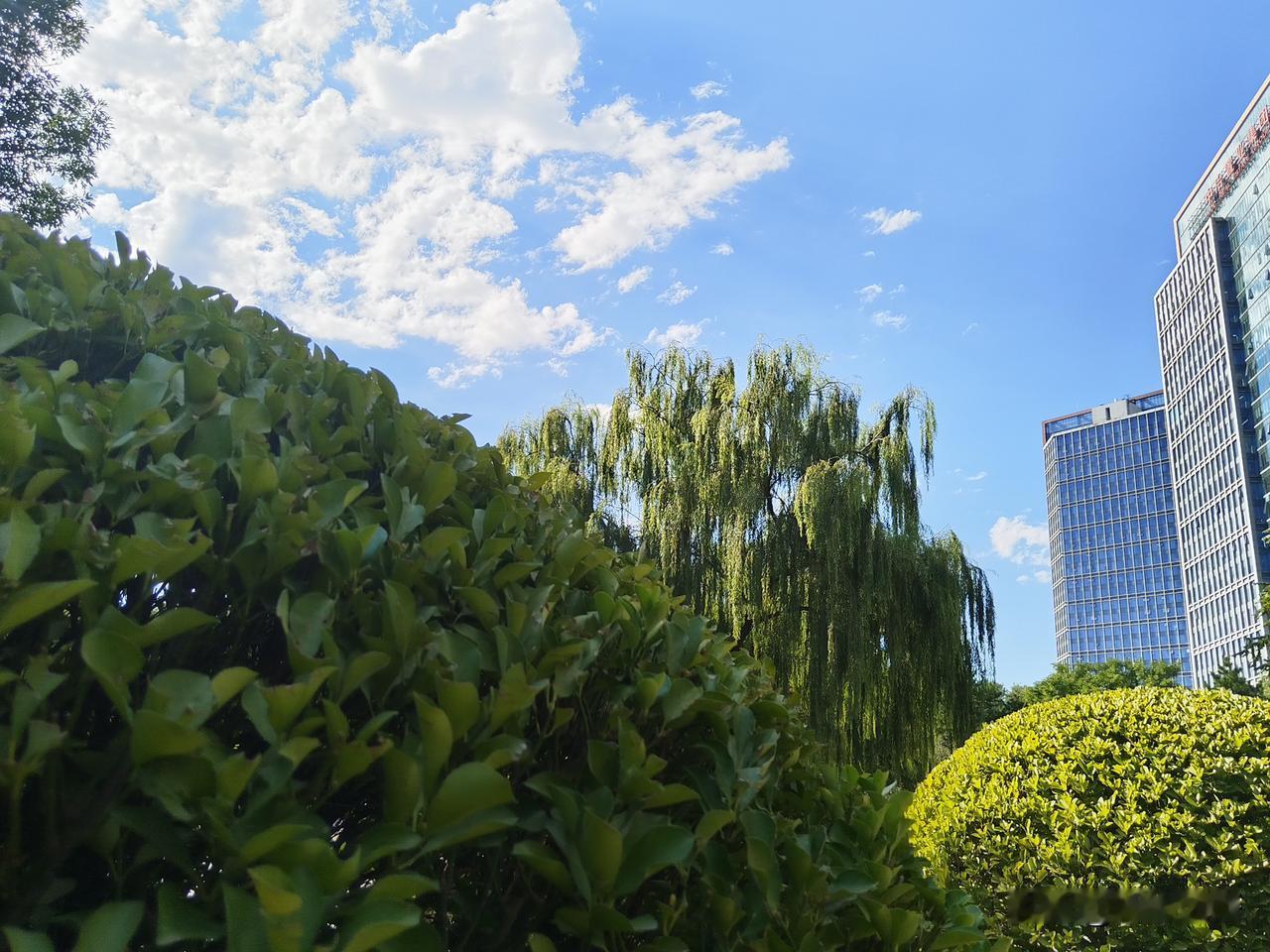 我是一个品德有问题的人，今天我是感到并承认了，因为我的感恩之心远远比不了的我同事