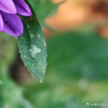 生活不用太热闹简单就刚好生活就是这样啦[超话]热爱生活[超话]记录生活[超话] 