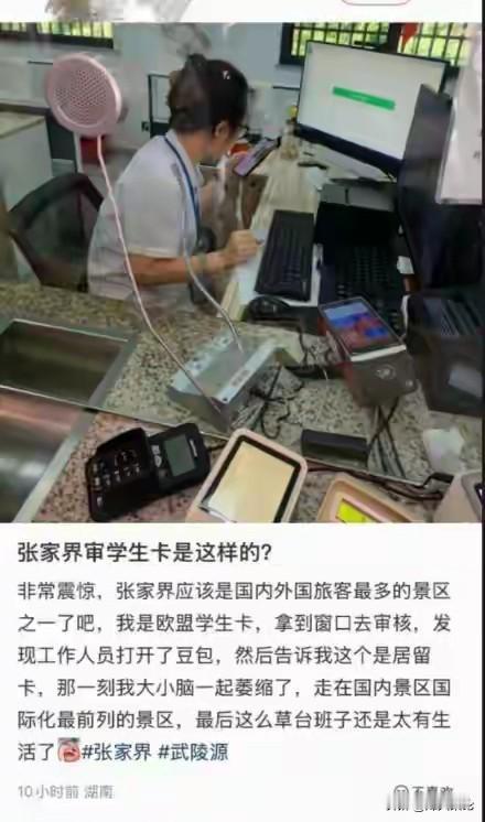 太寒心了！
张家界这事，越看越憋屈。
守规矩的挨刀，闹事的拿特权？

这个售票大