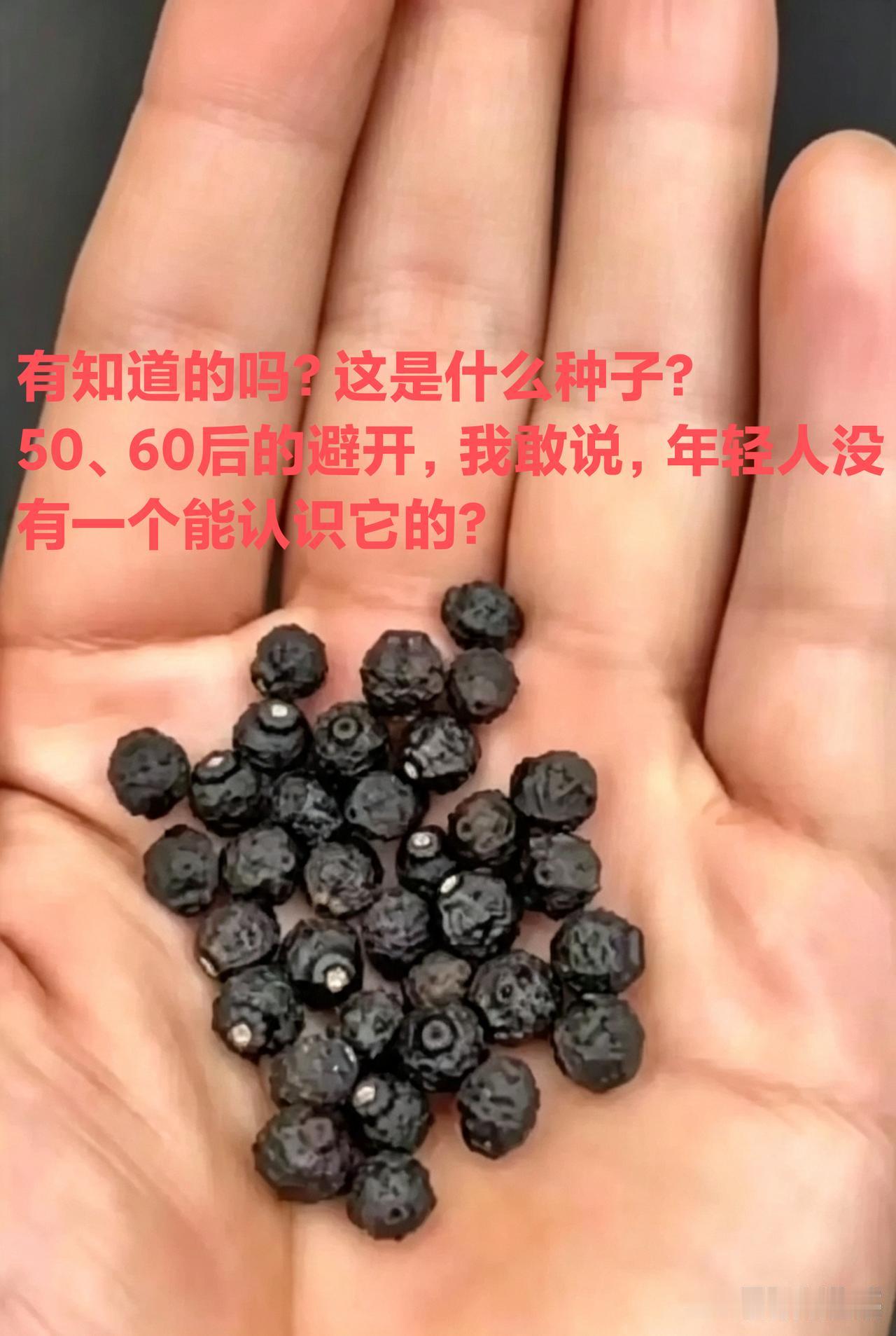 请问各位，这是什么种子？如果50、60后的人避开，我敢保证，现在的年轻人没有一个