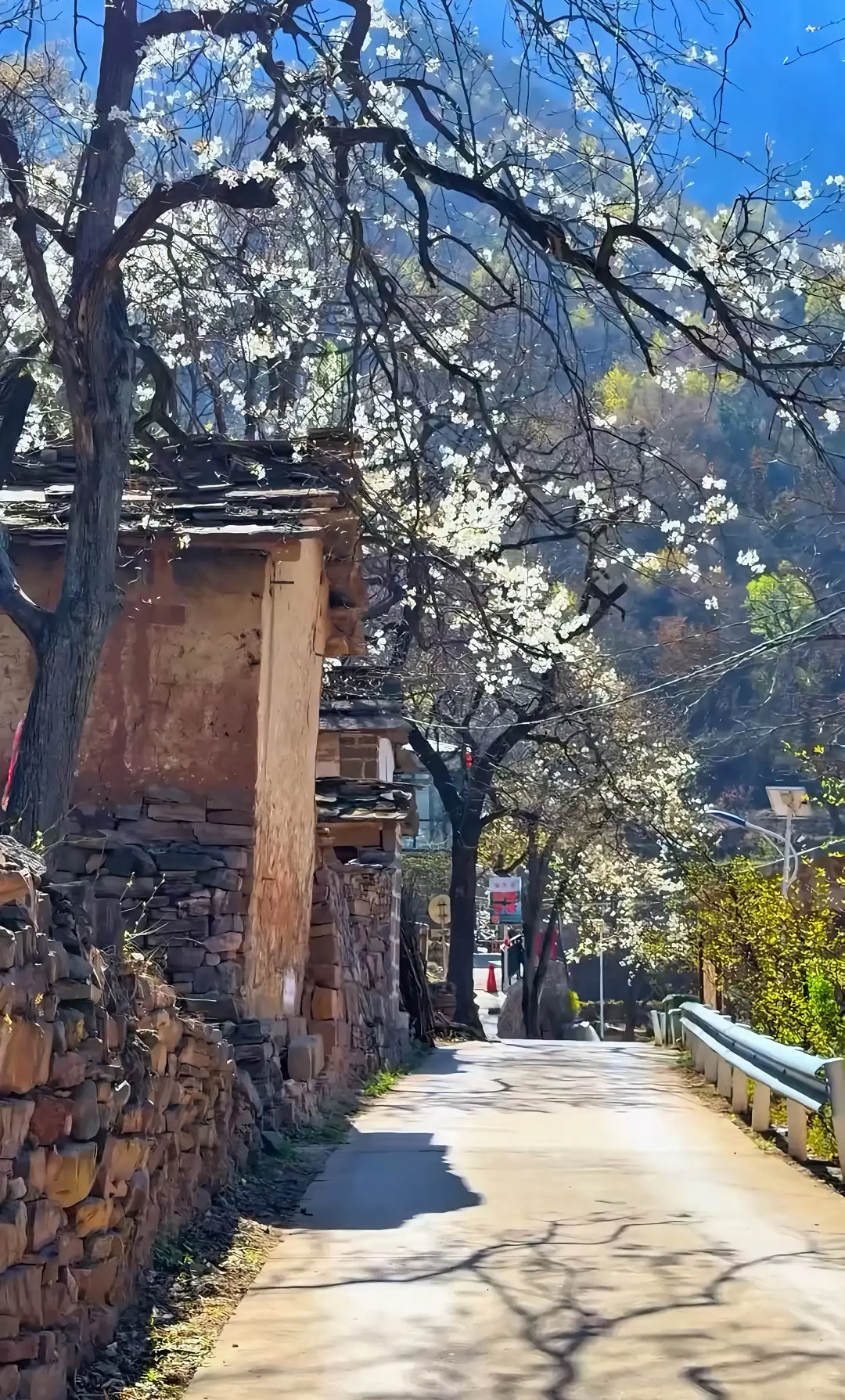 像你小时候的村庄嘛！ 