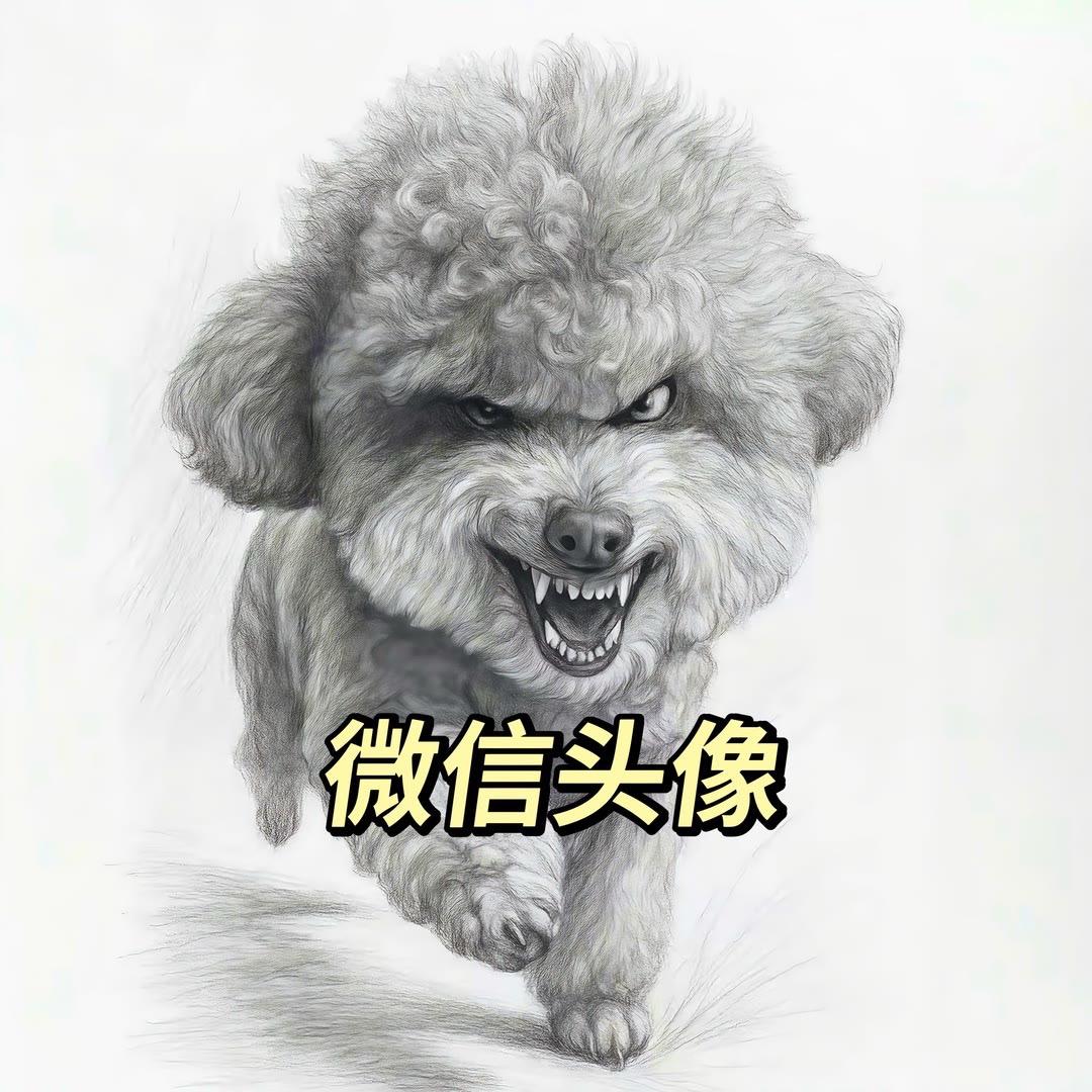 高清头像 微信头像 优质头像