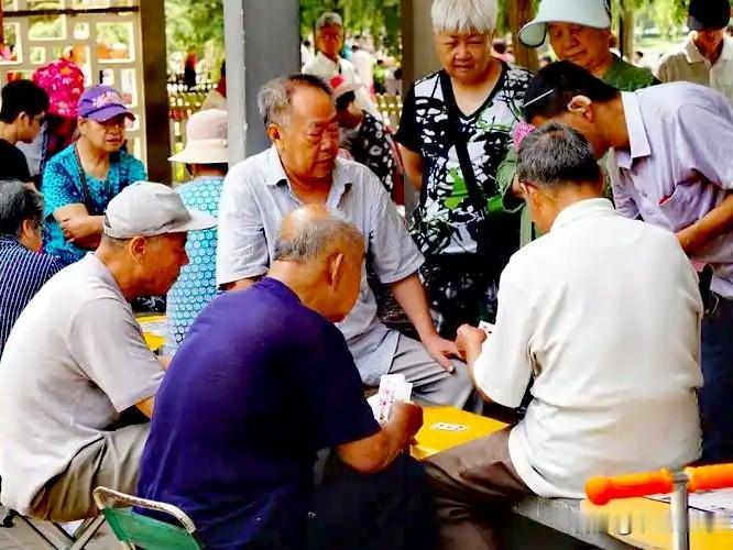 一个不认识的老同学招呼我
早上闲转，口袋公园几个老同志打扑克，我过去看几眼。旁边