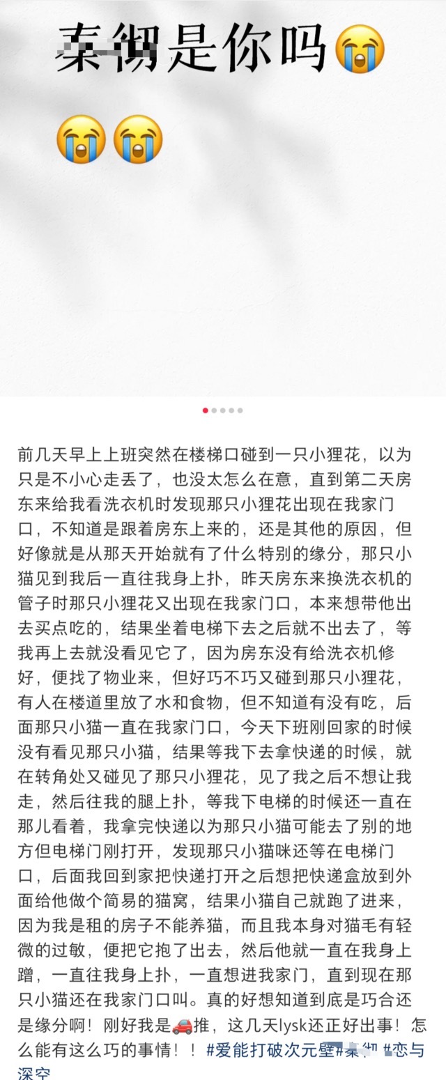 5588我今天刚用塔罗牌算了一下，今天谁转我188块钱是就是奏彻的唯一妻子，给我
