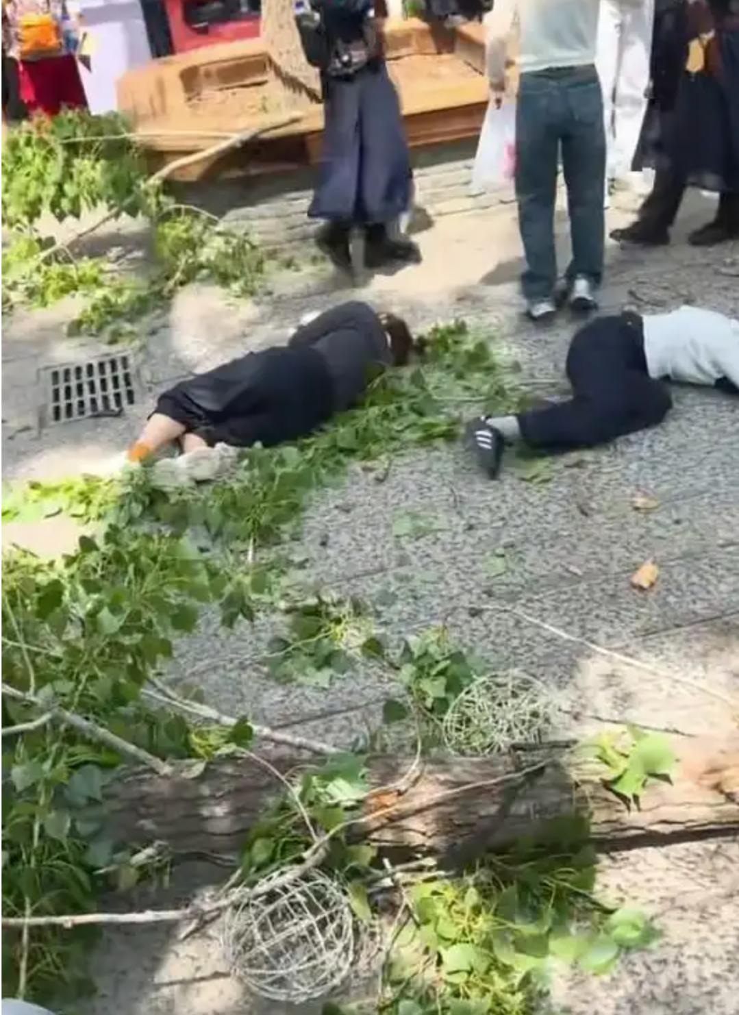 突发！河南开封一景区树干倒塌
‌4月18日，河南开封万岁山武侠城景区发生大树倾倒