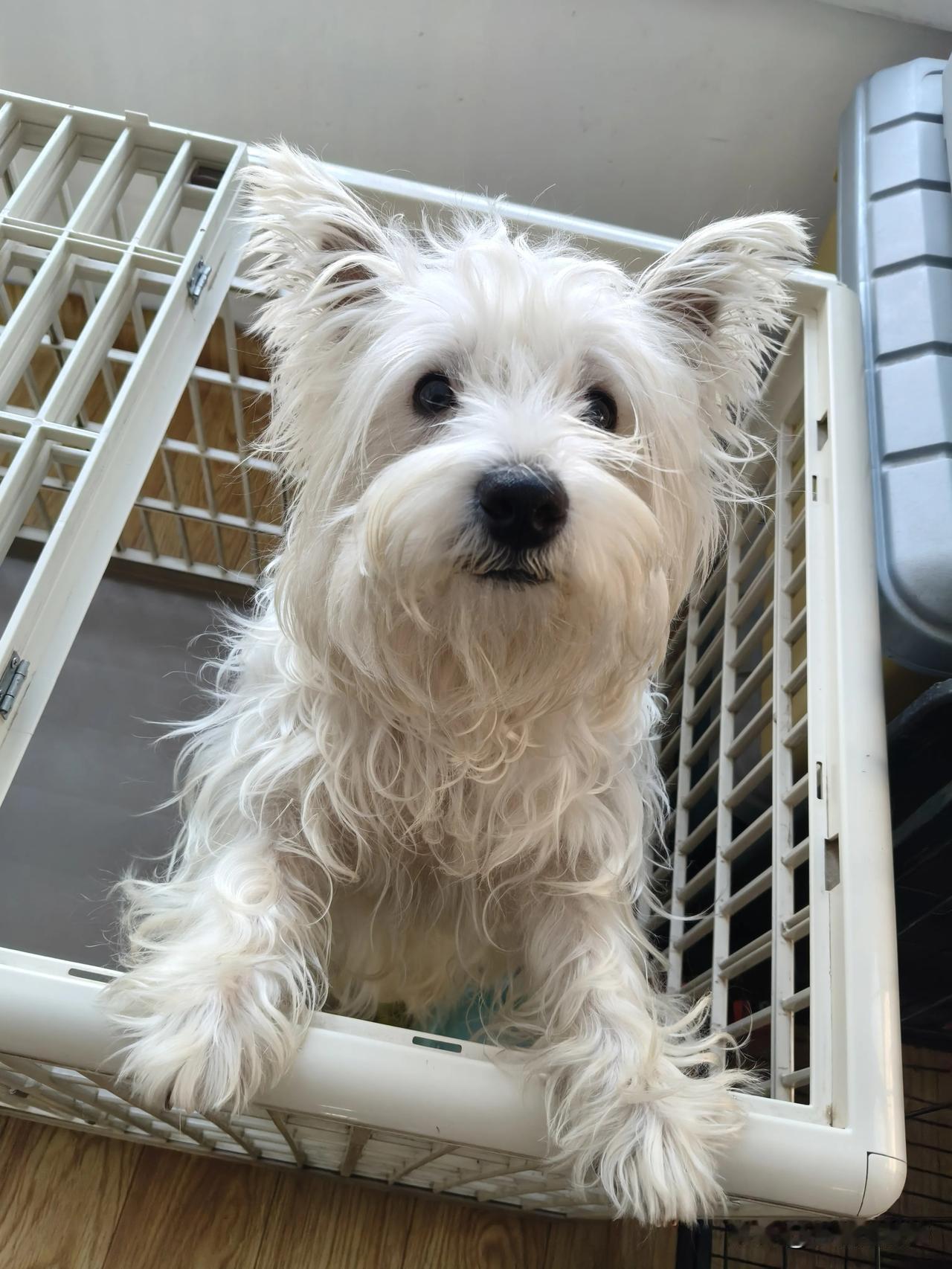 旅行的每一次都很开心