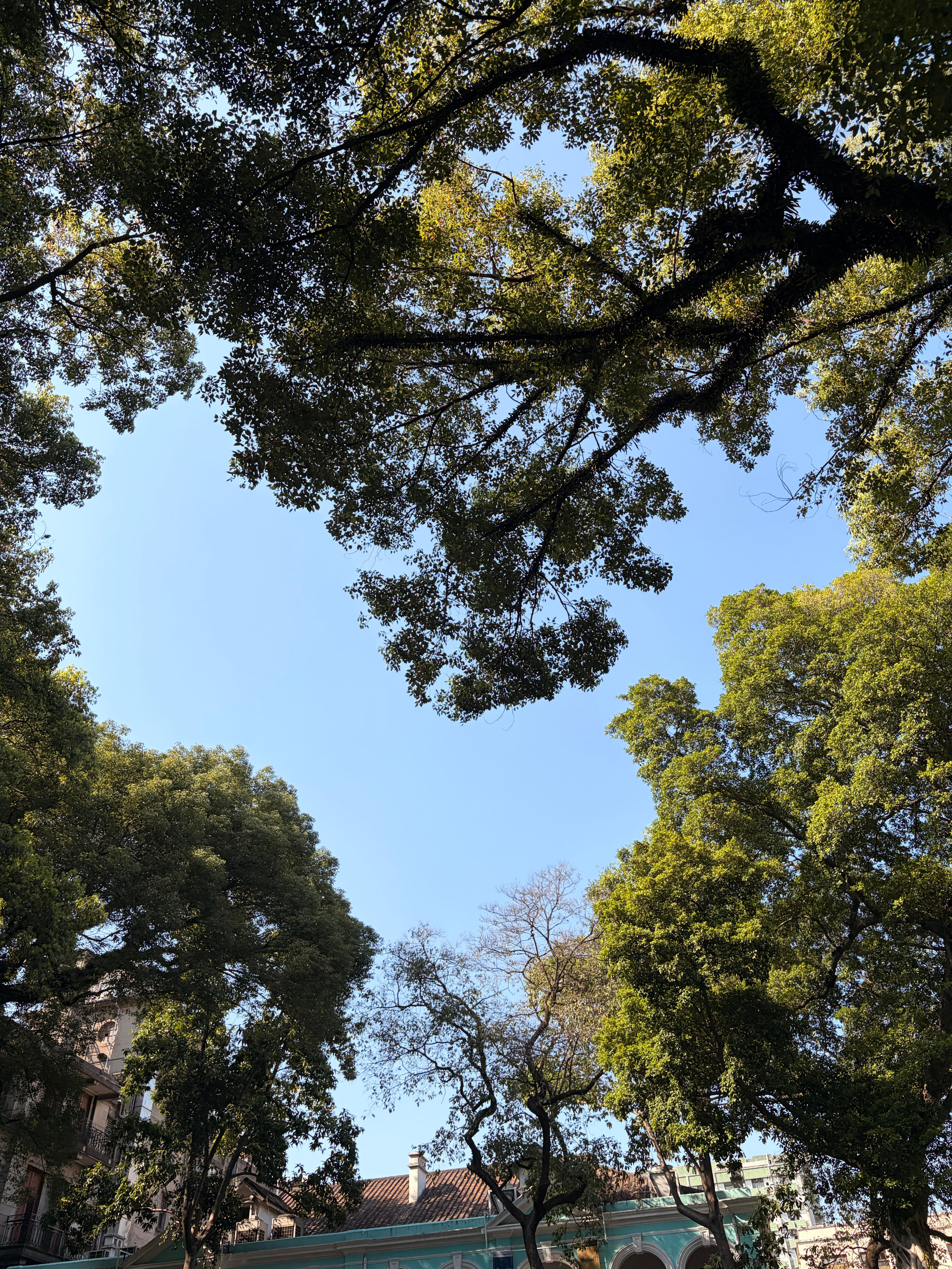 春天 广州·沙面岛