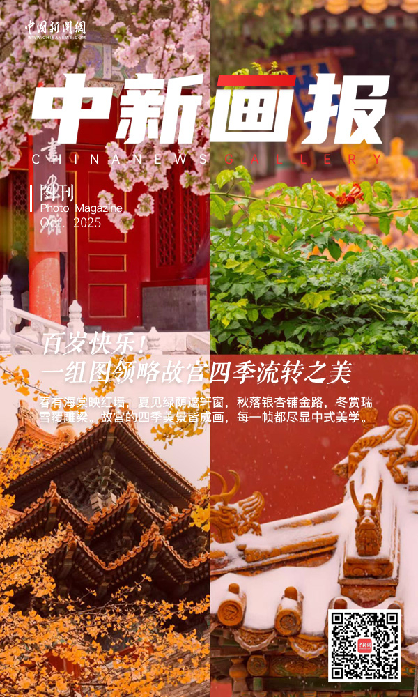 【故宫四季里的中式美学】故宫100岁生快春有海棠映红墙，夏见绿荫遮轩窗，秋落银杏