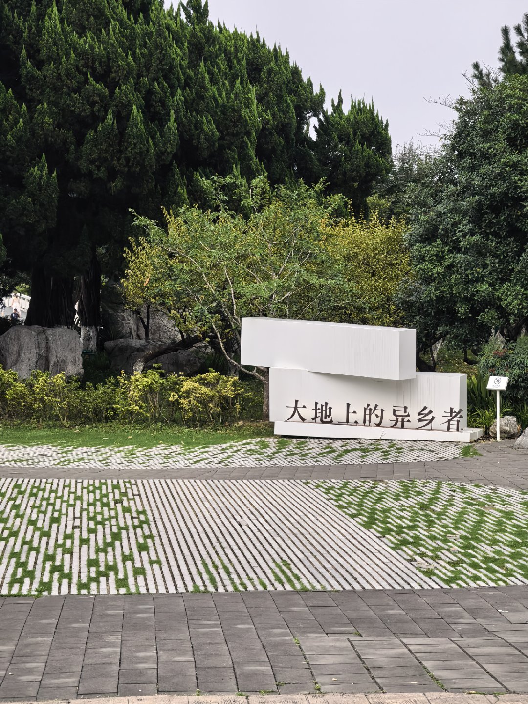 大抵是整个南京磁场最舒服的地方了🪷 南京·玄武湖景区
