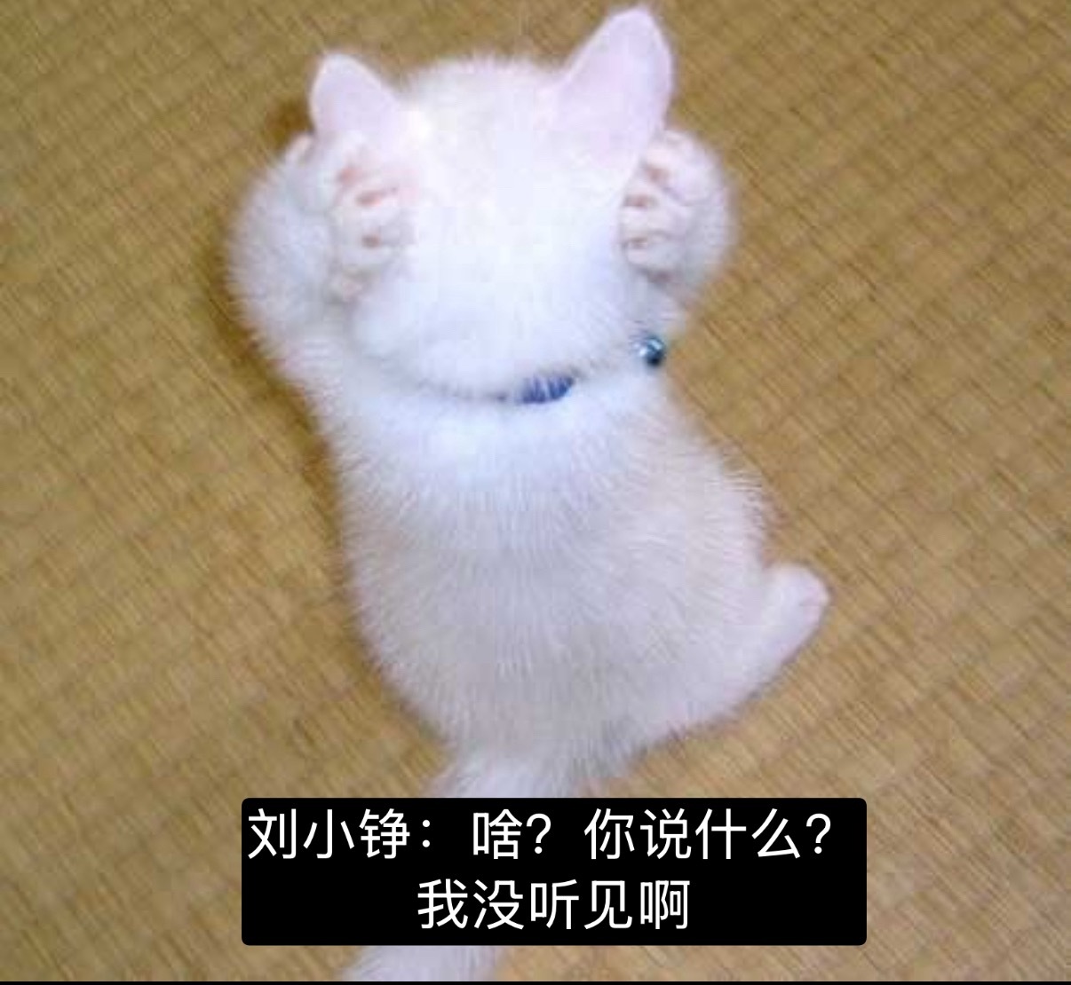 耕新专栏 · 我觉得伟铮在家就这样