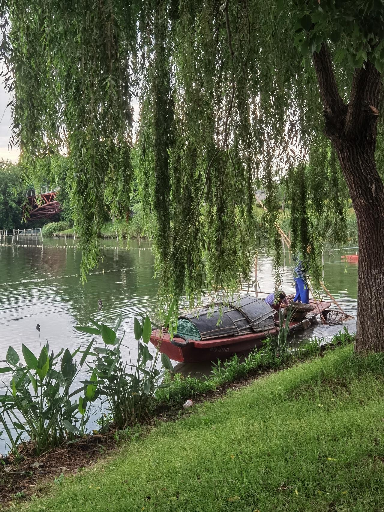 老夫妻俩摇螺丝一天能摇出1000斤，能挣1000多元，不过要上交洋泾湖费用250