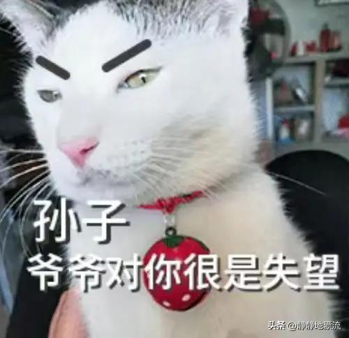 日本自卫队即将发布新版白皮书，准备跟中国硬碰硬？
日本高市早苗政府即将发布首份《