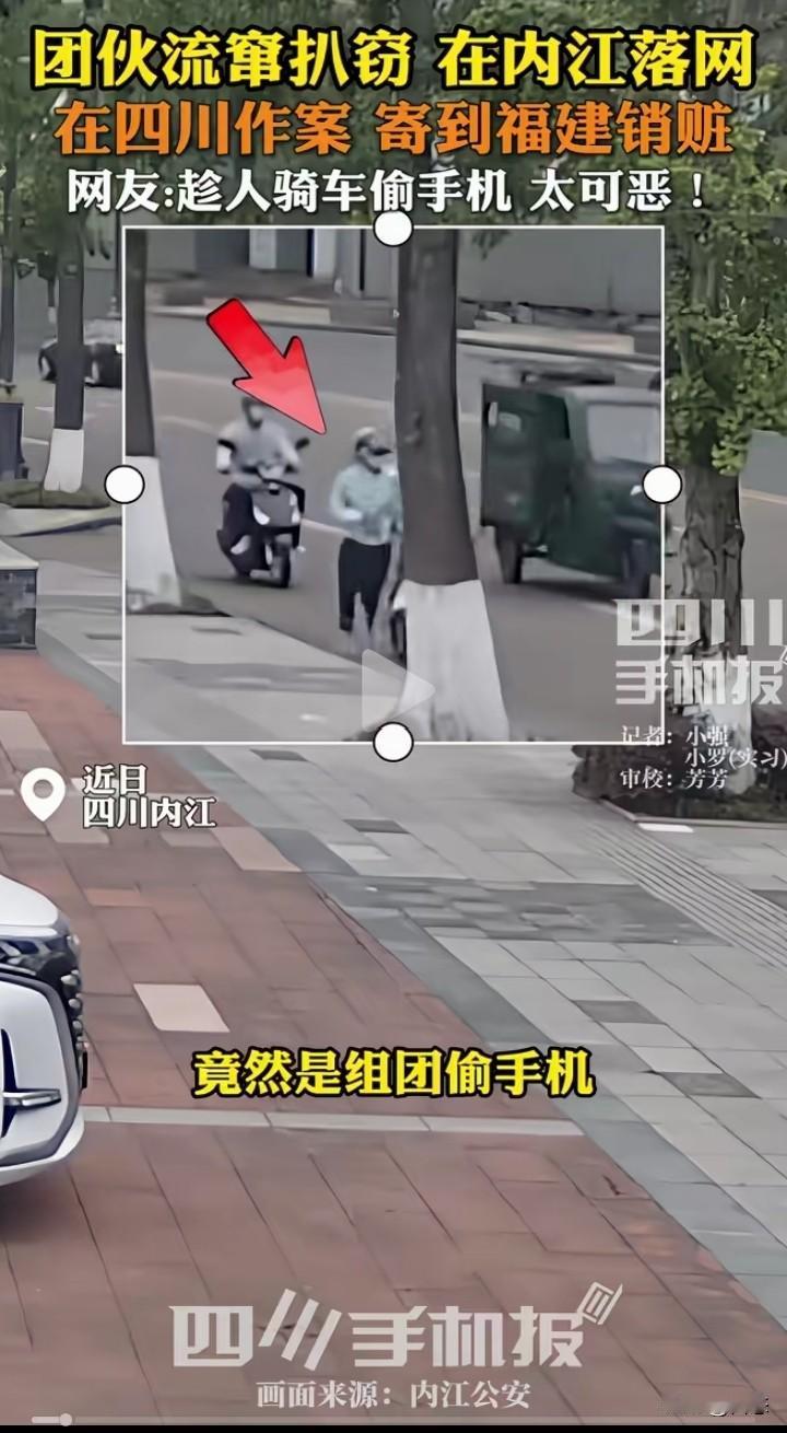 不敢相信，居然还有扒窃偷手机的，这是作死啊？现在到处都是电子眼，以为把外貌挡住就