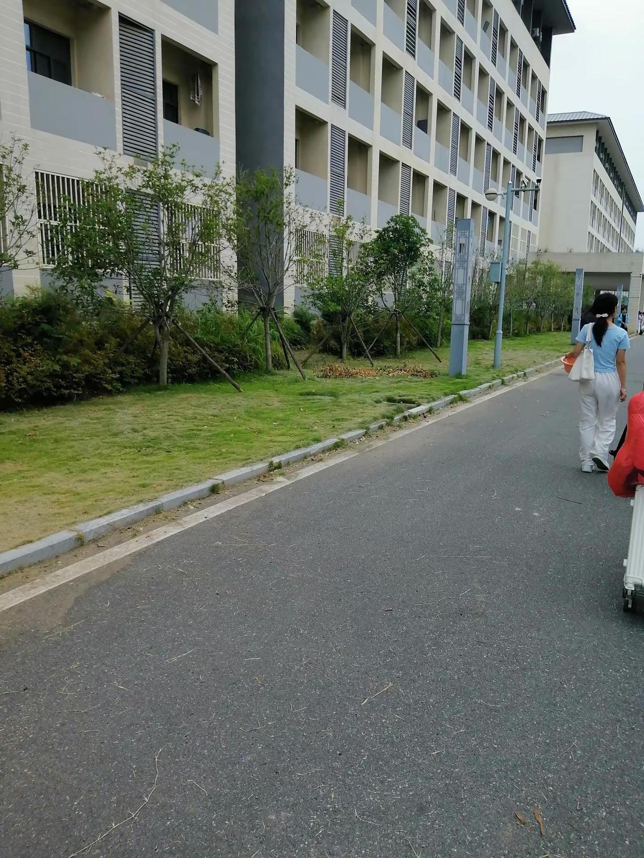 太和一中我又来了！
