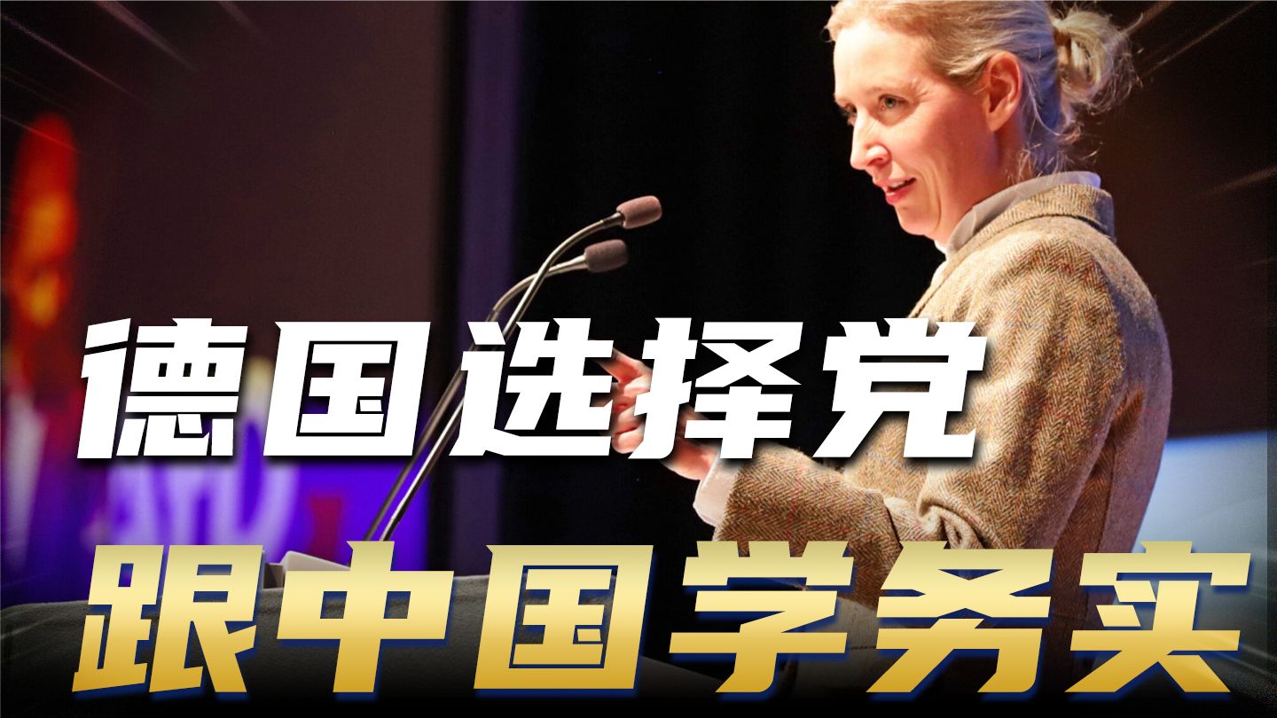 选举横扫一众主流政党，德国选择党震动全国，德国下一步要往何处
