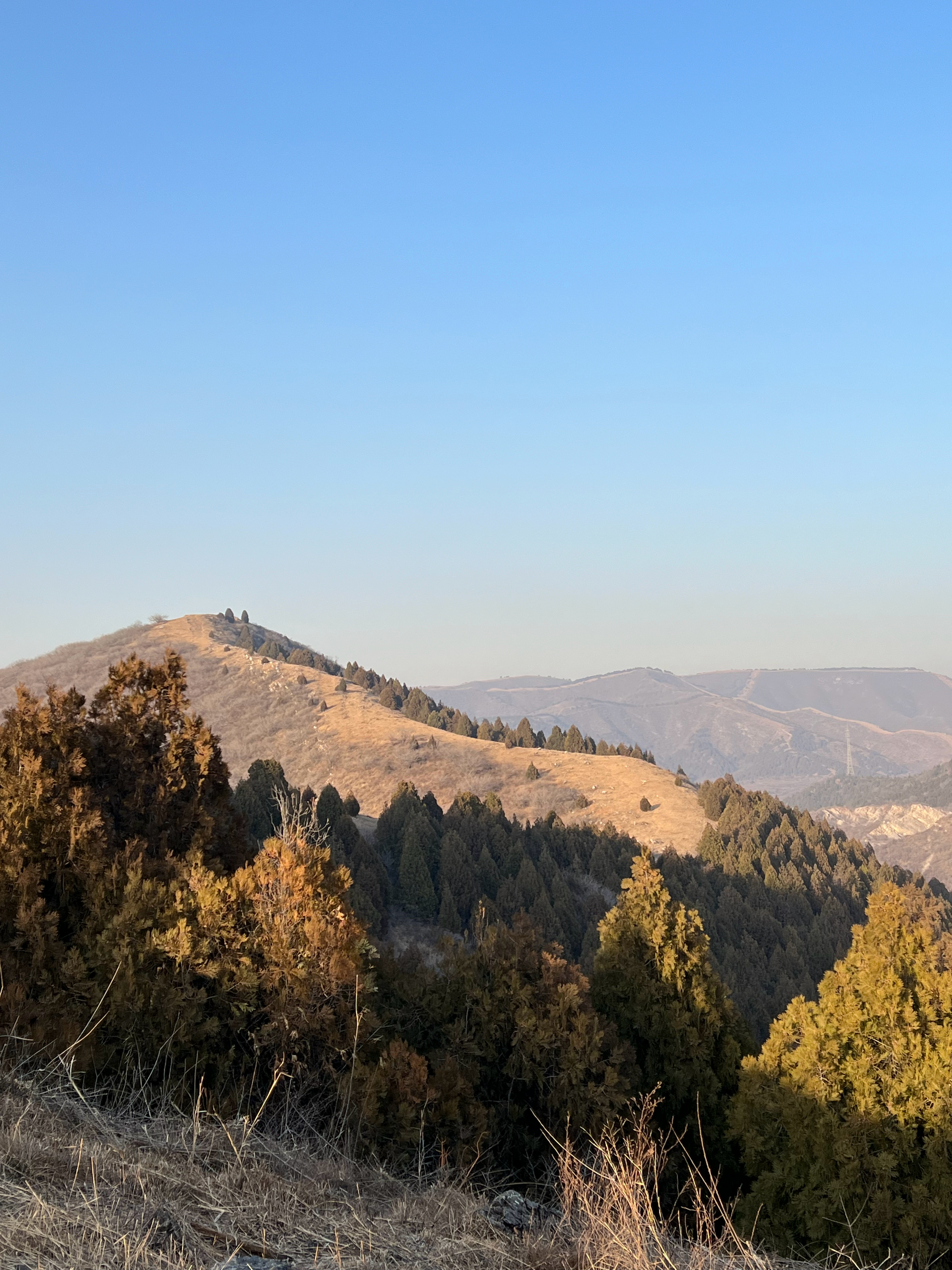 满足的一台中午到下午都很暖，舒服到了三四点，体感温度骤降，打道回府回去吃好吃的 