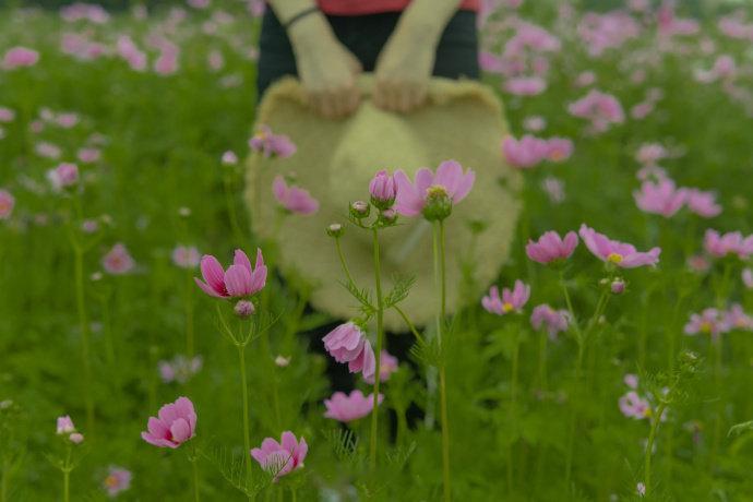 生活里，同行的人，比风景更重要，因为很多时候，同行的人，其实就是风景。—— 杨绛