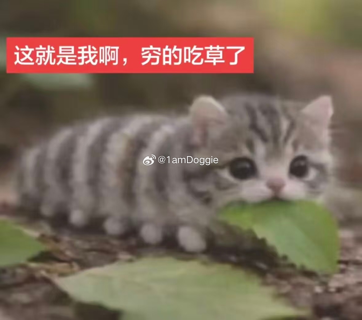 我每个月： 