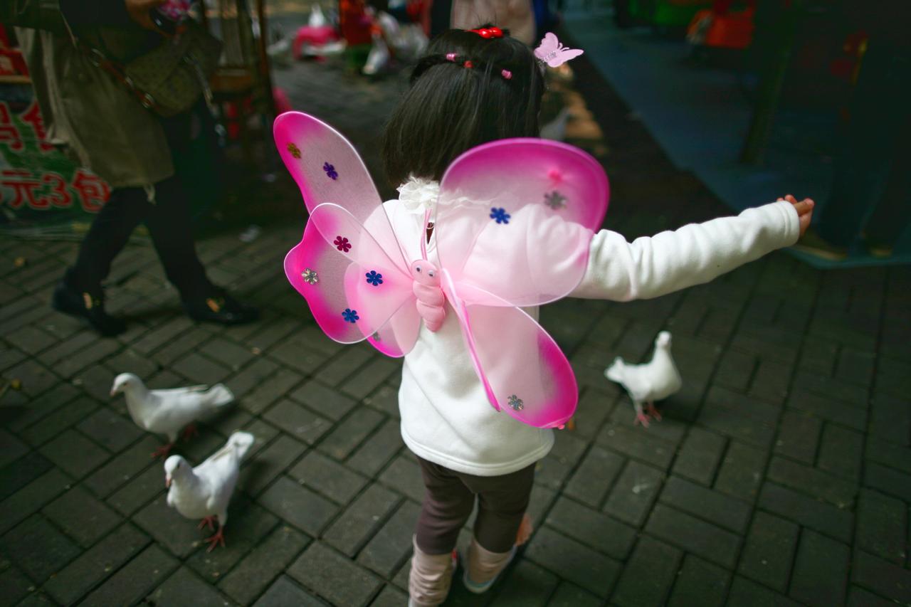 宜昌儿童公园的鸽子，你喂过没有？仿佛回到了多年前的那个春天宜昌 宜见钟情心动宜昌