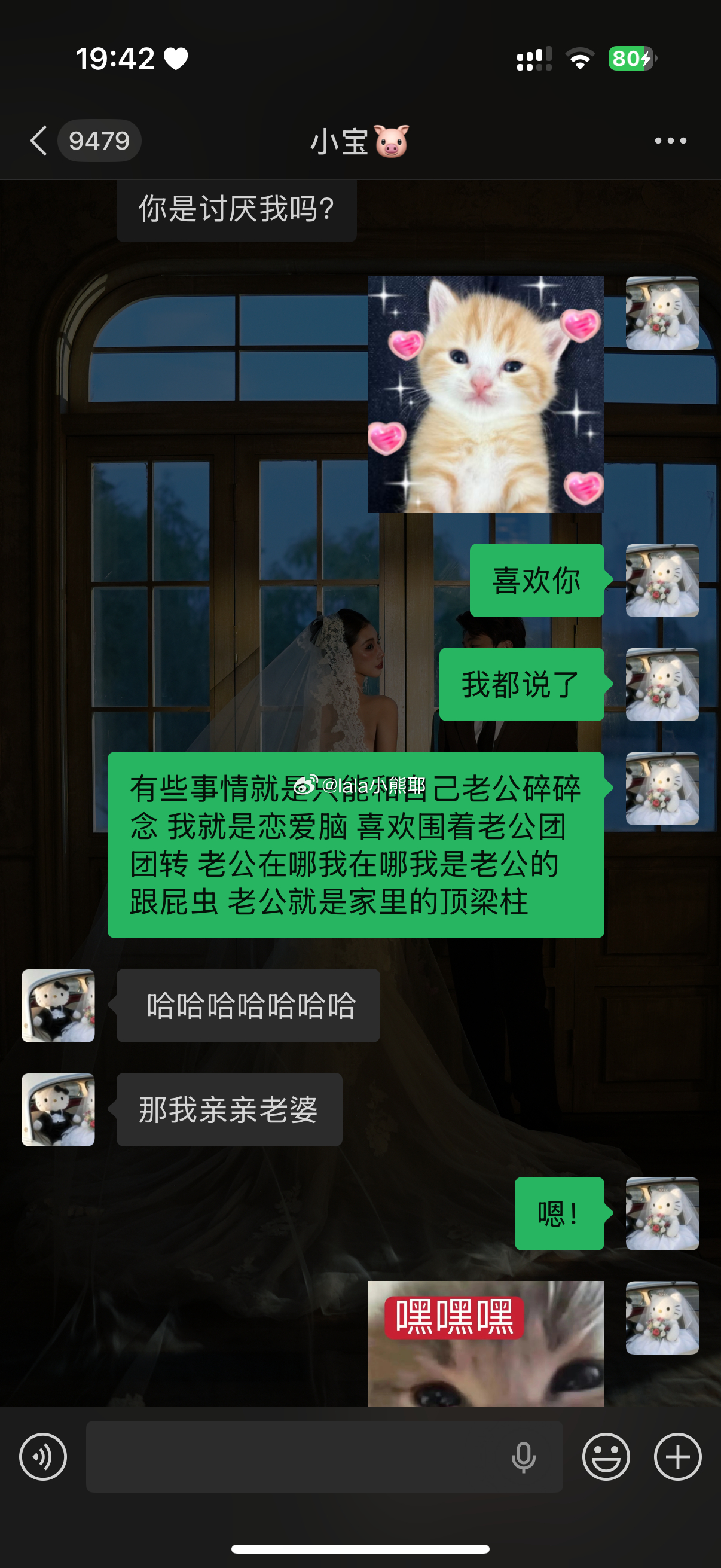 熟练掌握cc使用手册 