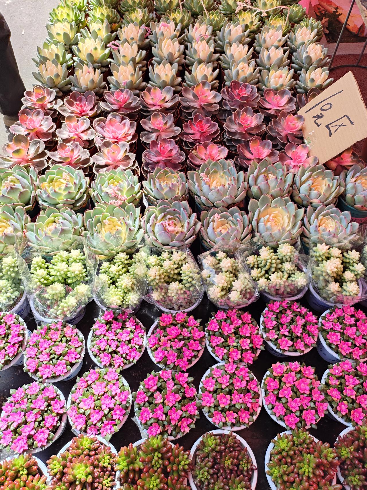 晚年最大的错觉：住儿女家是享福，其实是寄人篱下
 
人到晚年，总觉得“跟着孩子住