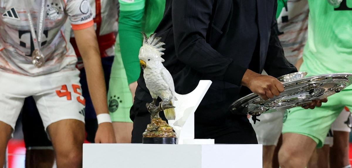 这个幸运🦜印衣服上了哈哈哈哈哈哈哈哈哈怪不得官推这么发 